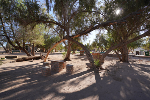 Lovely shaded campsites at Hobas Lodge Fish River Canyon
