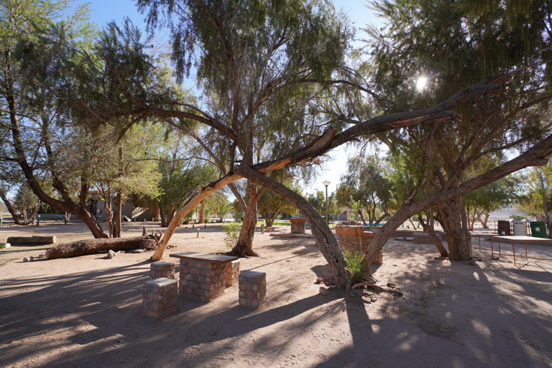 Very neat and shaded campsites at Hobas Lodge Fish River Canyon
