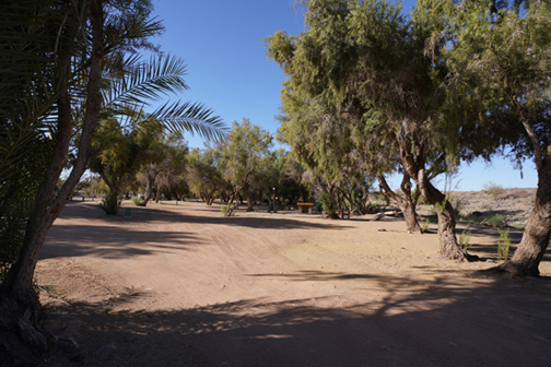 Shaded campsites at Hobas Lodge Fish River Canyon